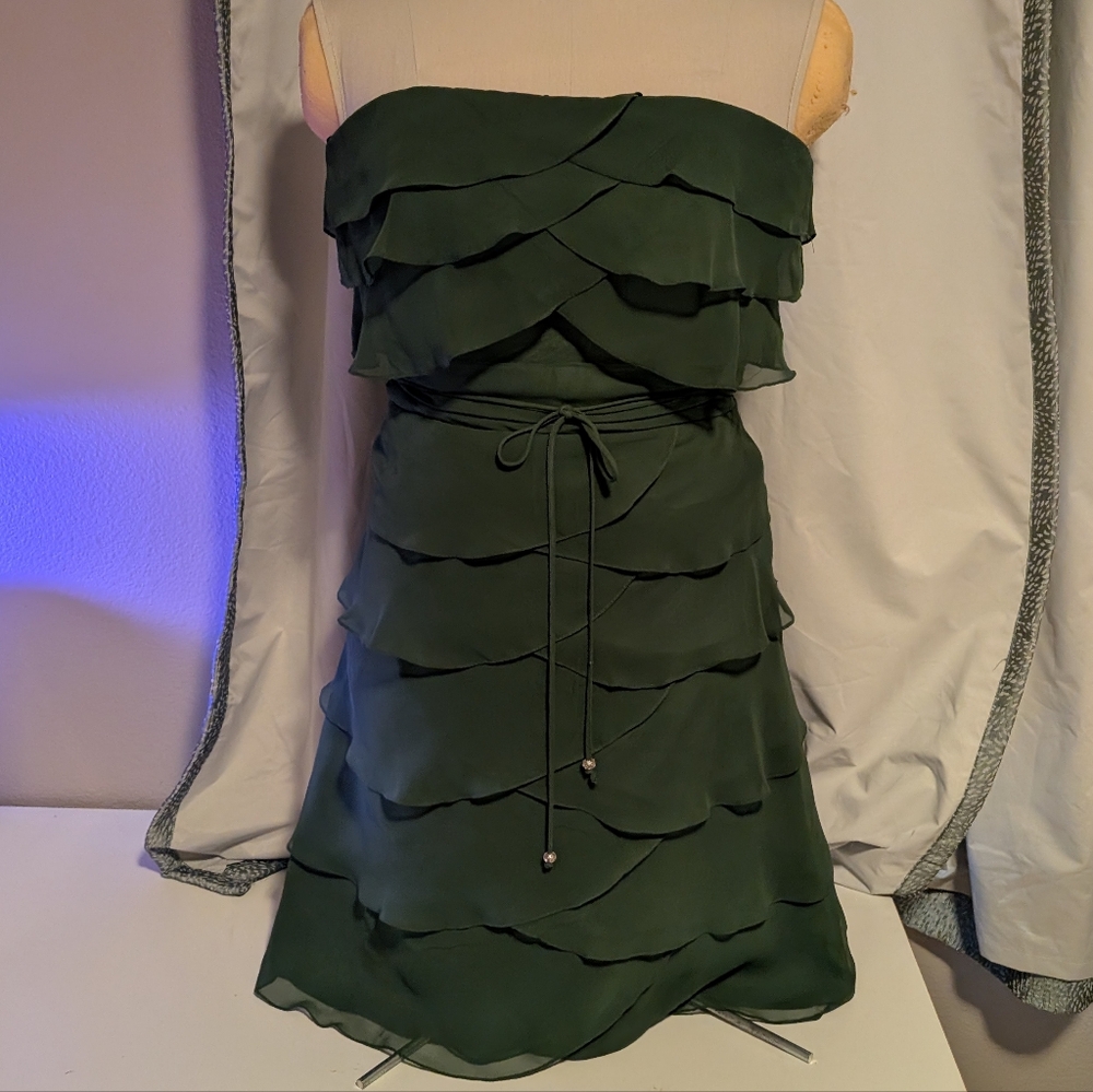 Lazaro Green Ruffled Dress - Picture 2 of 8